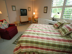Master bedroom with TV