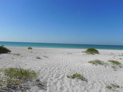 Sandy beach