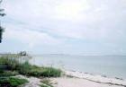 White sand beach