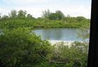 Longboat rentals