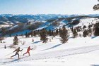 Ski Beaver Creek this year!