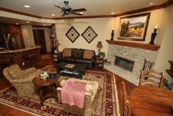 Fireplace and Sofa Sleeper in Living Room Fireplace and Sofa Sleeper in Living Room