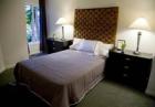 master bedroom with one bed and padded headboard