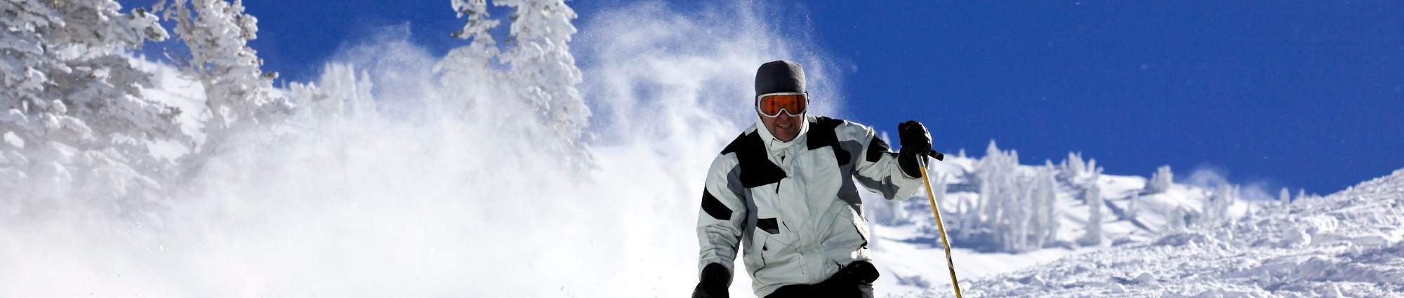 Skier turning through deep powder snow below snow-covered trees