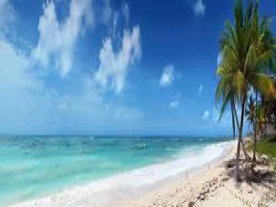 Anna Maria Island Florida Property Taxes Anna Maria Island Florida Property Taxes